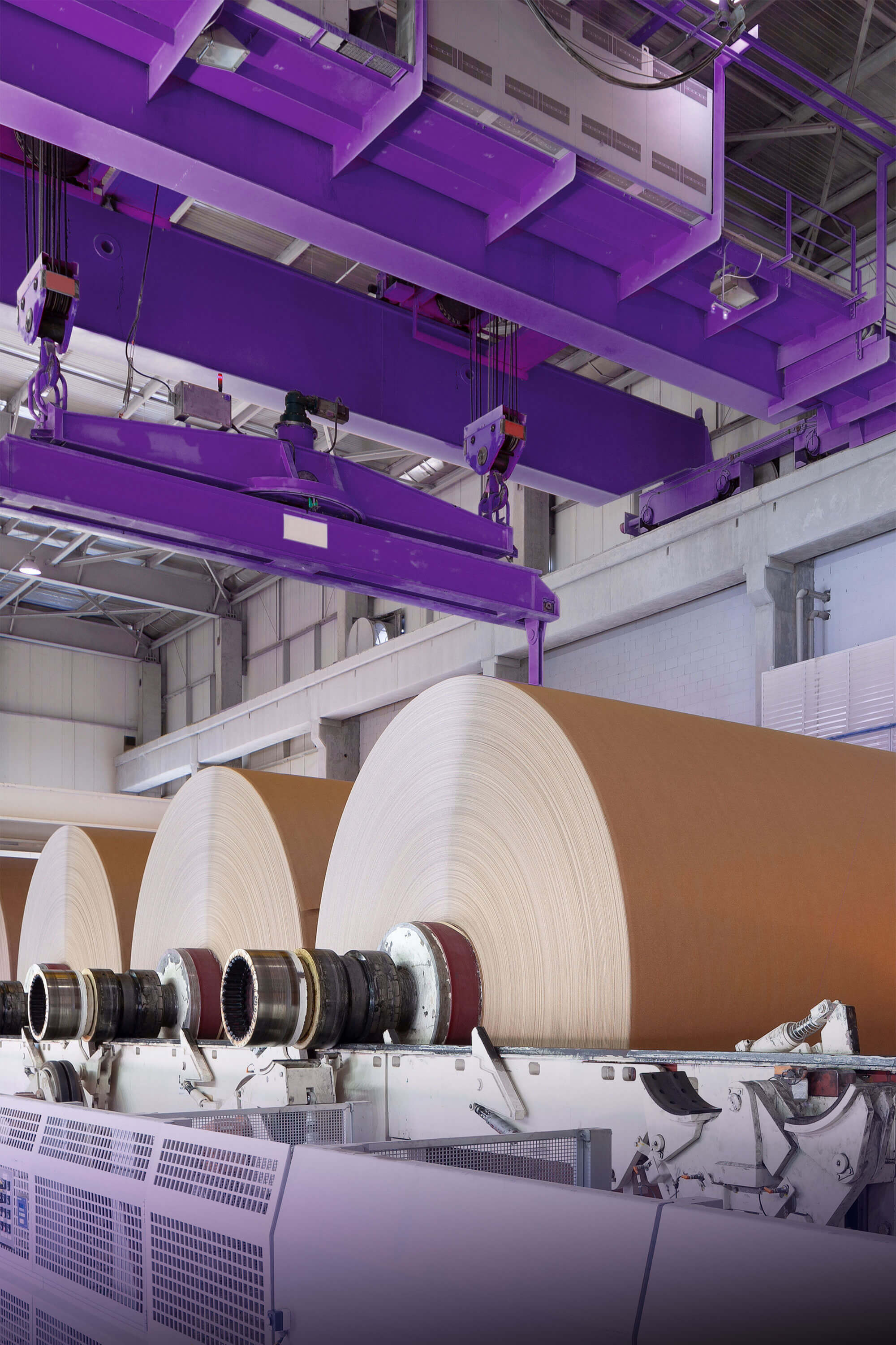 EOSYS paper roll automation